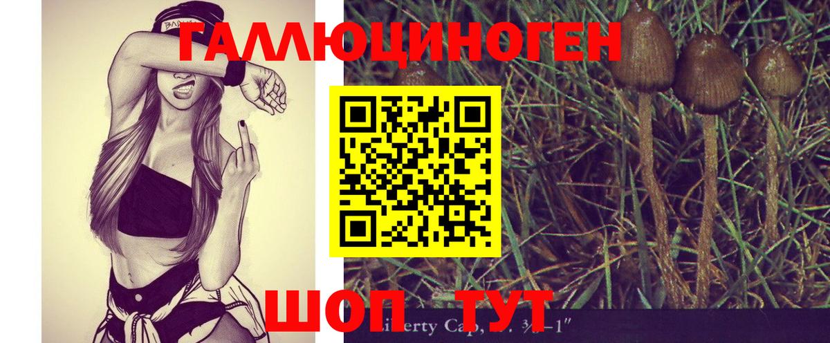 Галлюциногенные грибы Psilocybe Уссурийск